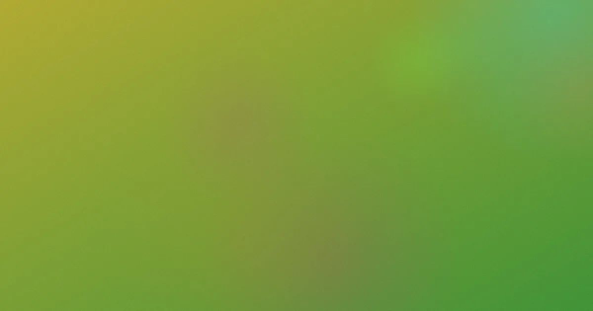 朱永棠怎么用：港片入门法